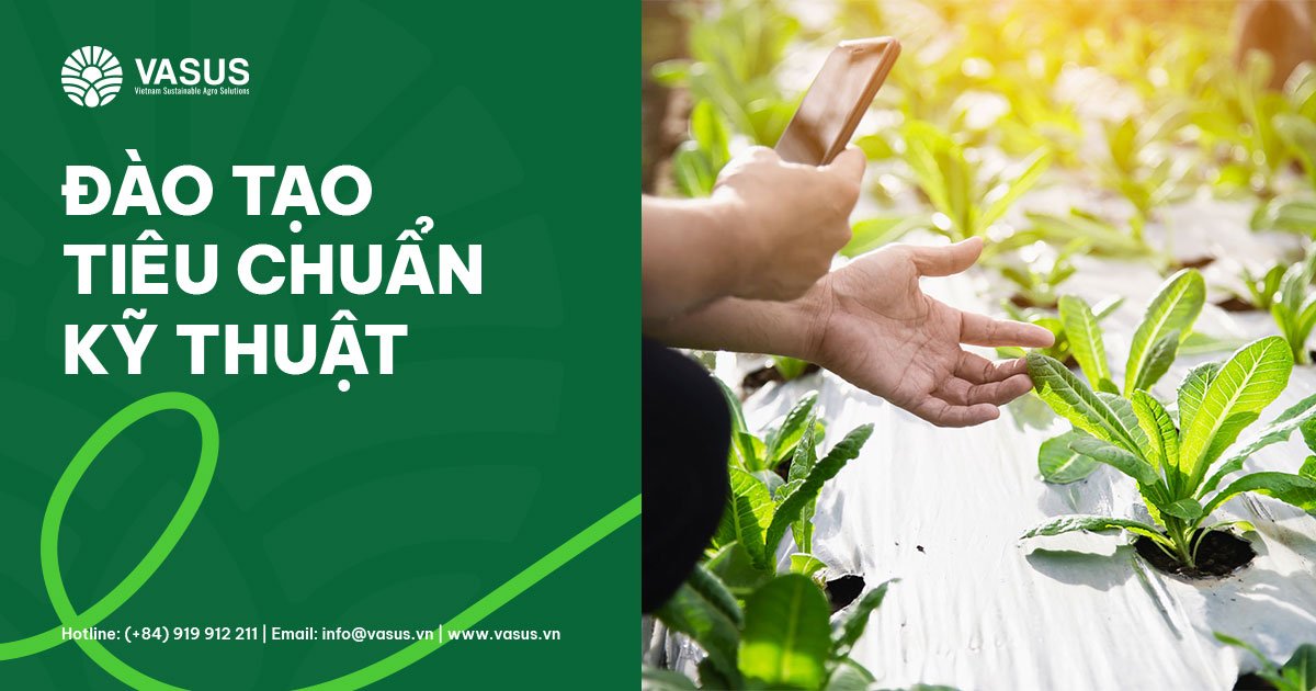 dao tao tieu chuan ky thuat 1