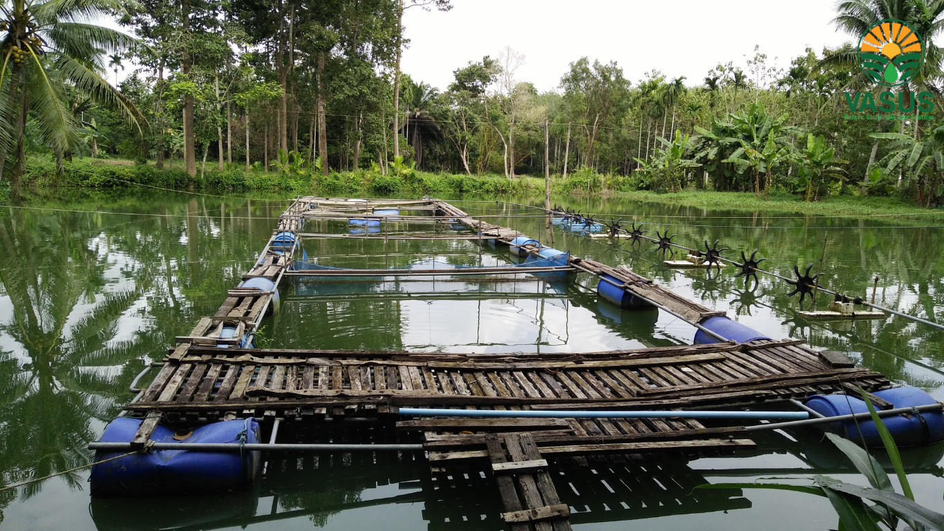 quản lý và hướng dẫn nuôi trồng, đánh bắt - VASUS