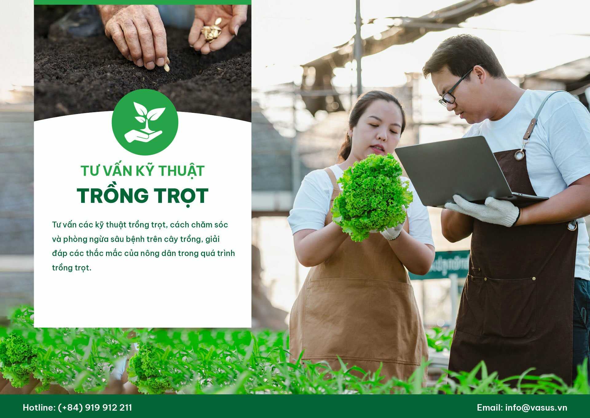 Tư vấn kỹ thuật trồng trọt