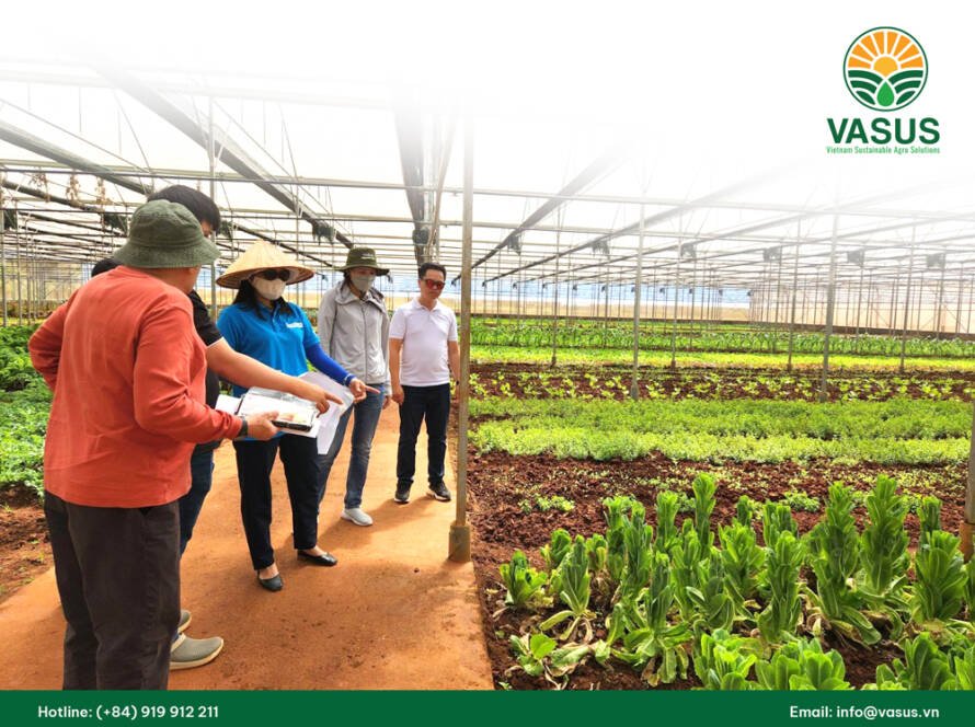 Đào tạo kỹ thuật trồng trọt có kiến thức chuyên sâu về quản lý cây trồng để đạt được năng suất và hiệu quả cao