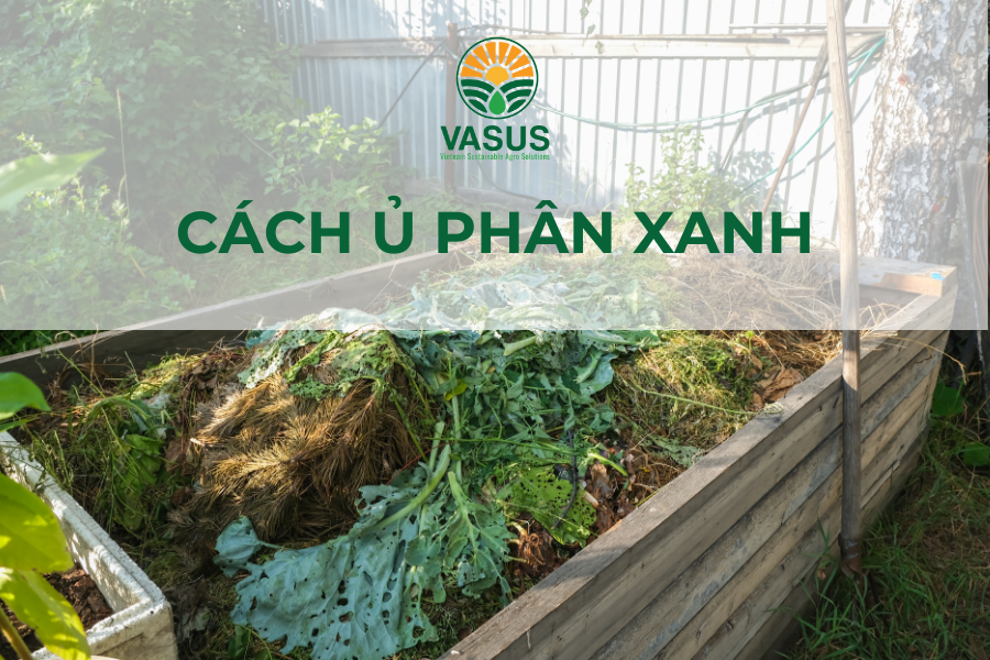 Cách ủ phân xanh