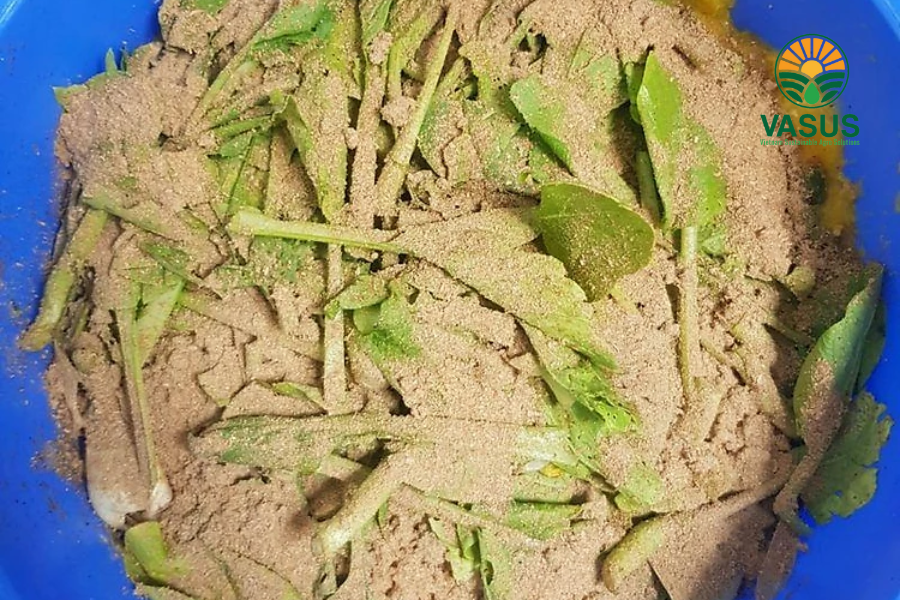 Chế phẩm vi sinh EM_Bokashi