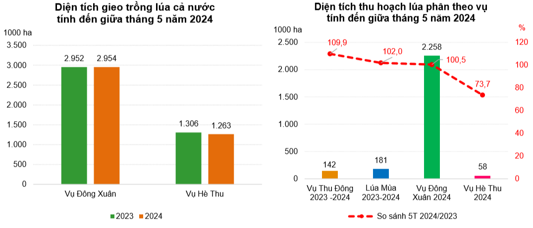 số-liệu-diện-tích-gieo-trồng-và-diện-tích-thu-hoạch-VASUS