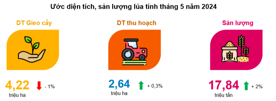 ước-diện-tích_-sản-lượng-lúa-tính-tháng-5.2024-VASUS