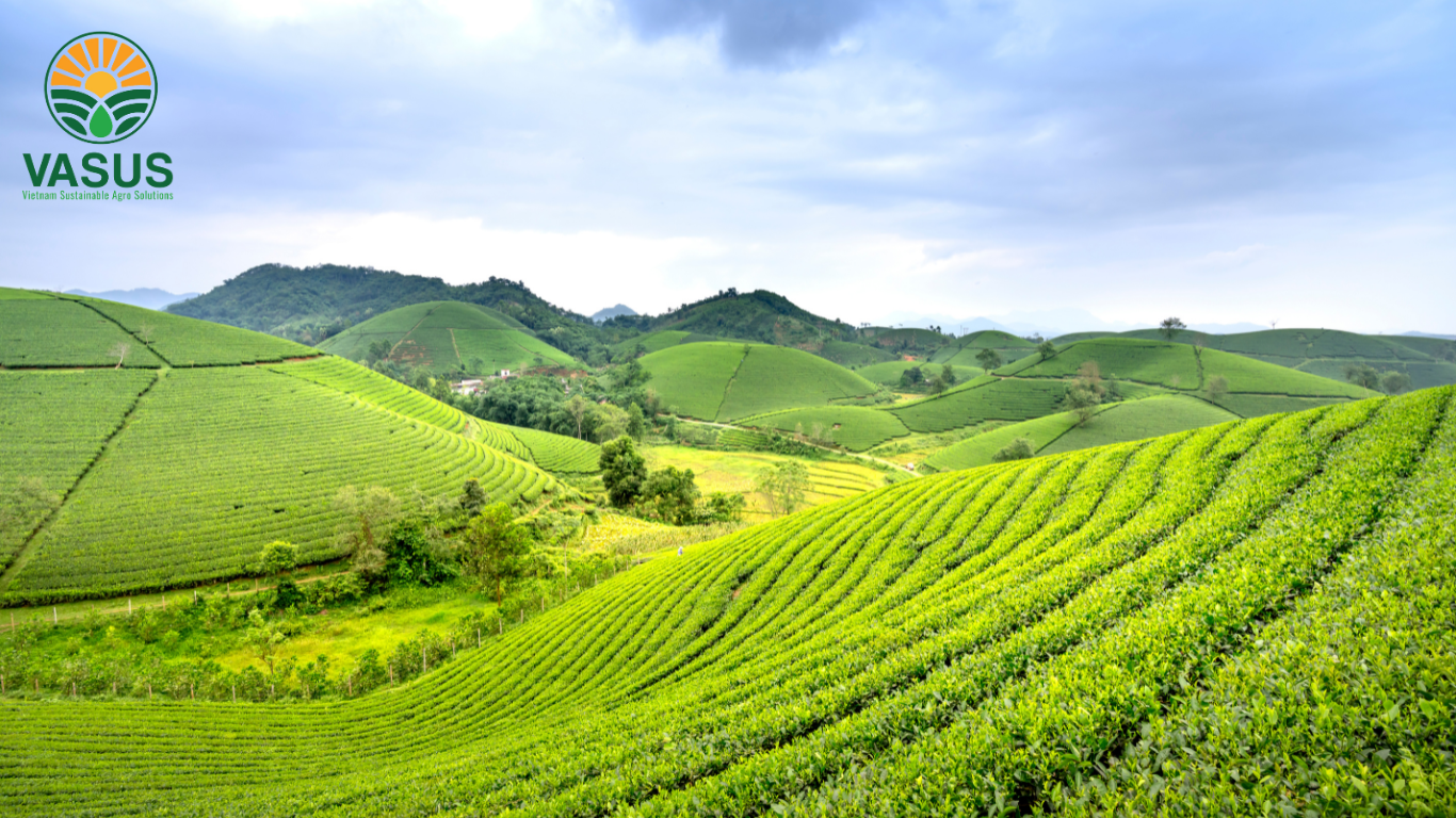 Ngành Nông Nghiệp Gồm Những Nghề Nào-VASUS