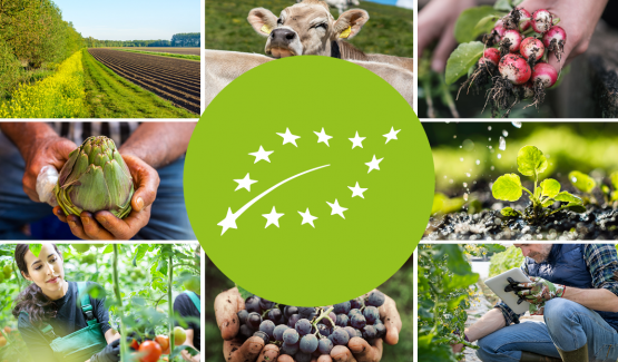 Thuc pham EU Organic