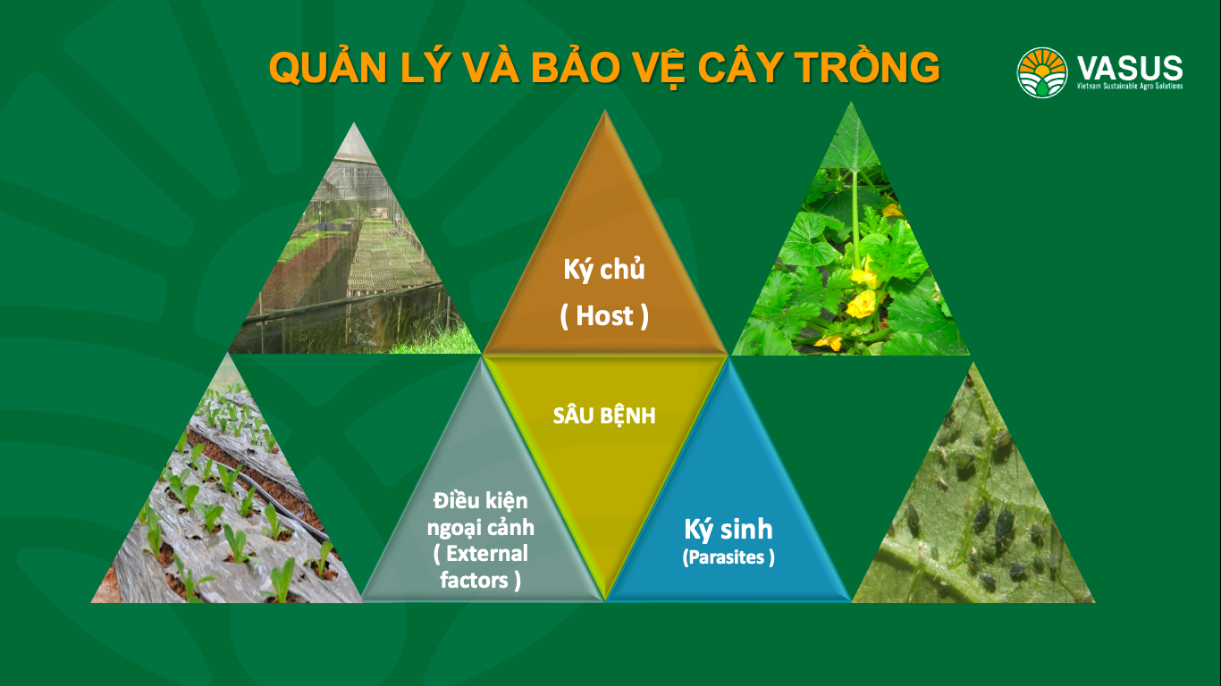 Quản lý và bảo vệ cây trồng 